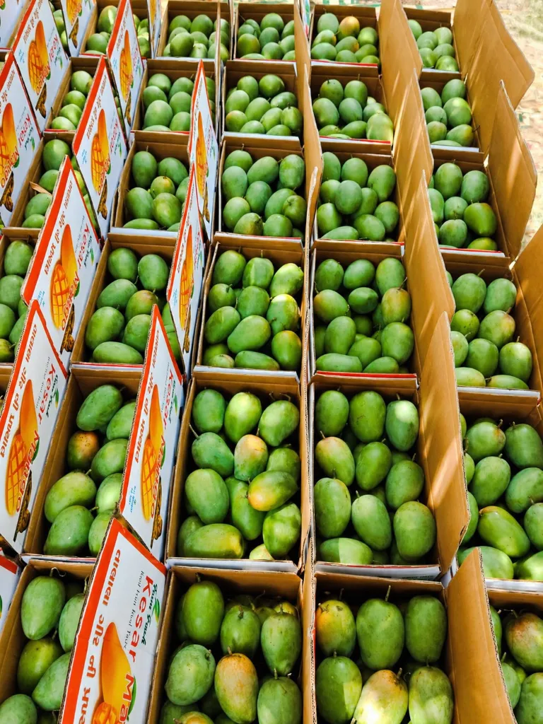 ChatGPT Image Apr 27, 2026, 08_36_07 PM.webp